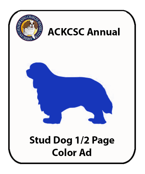 Stud Dog Ad 1/2 Page Color 